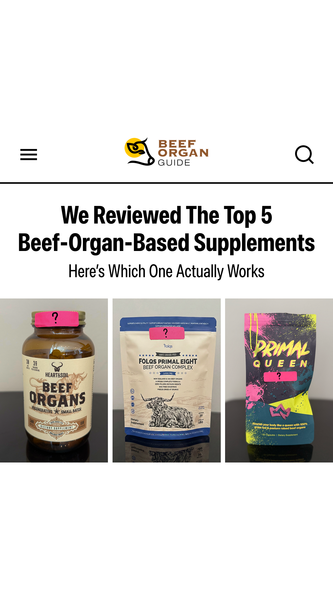 Beef Organ Guide creative