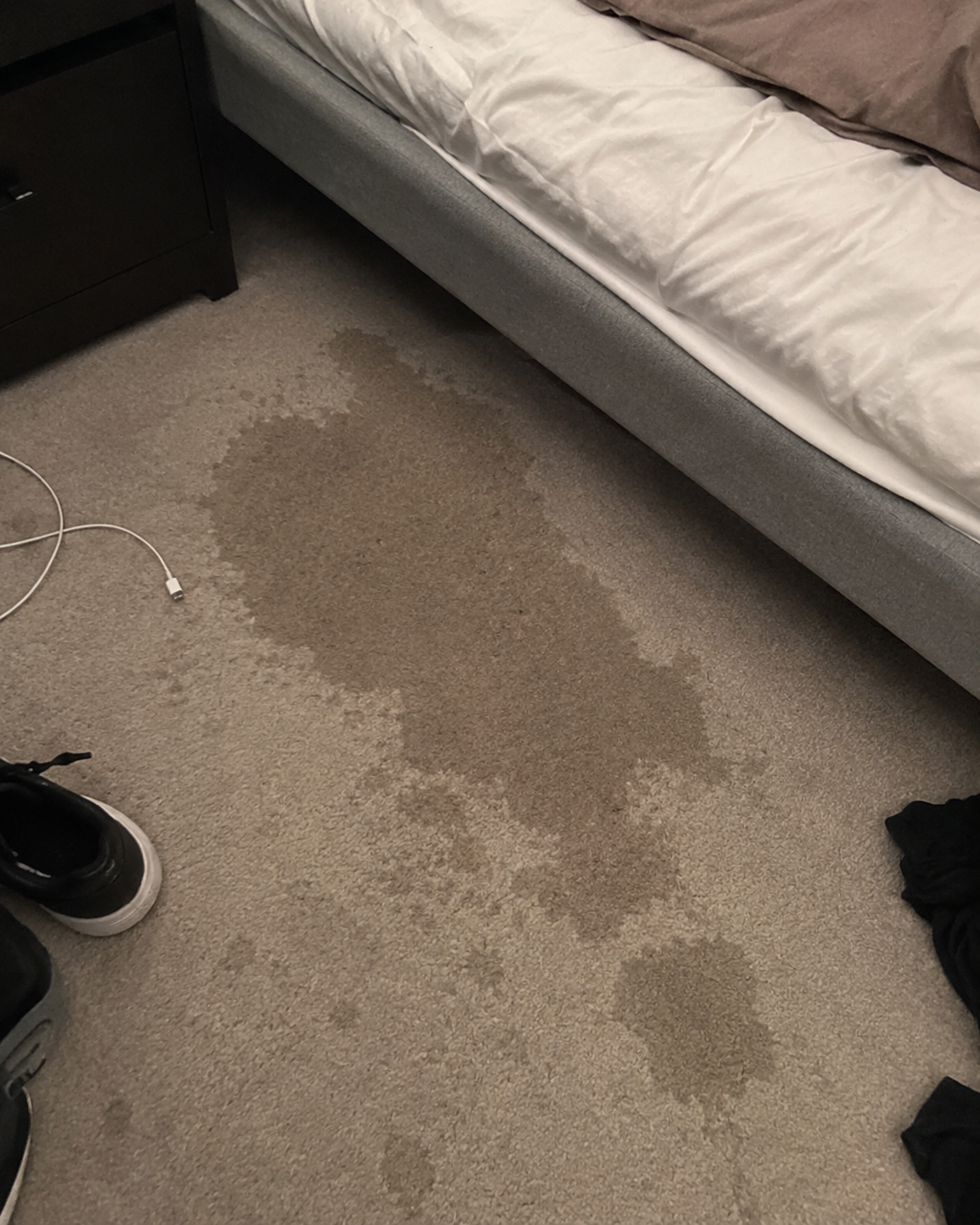 Stella Lewis creative