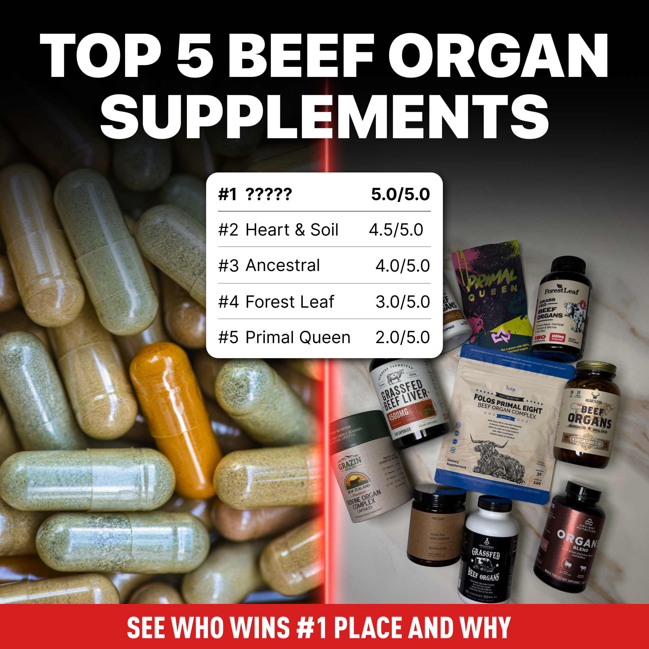 Beef Organ Guide creative